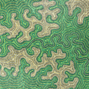 CREATURES DE TOUJOURS - Les Animaux dans l’Art Aborigène Australien