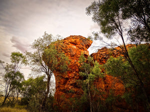 Photographie "Ngurra 2 - On Country" de Jeffrey Jackson