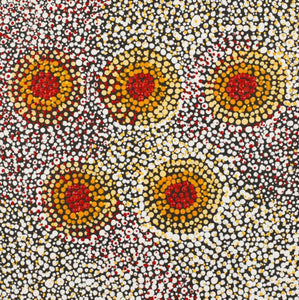 Peinture "Country around Yuendumu" de Loretta Nakamarra White